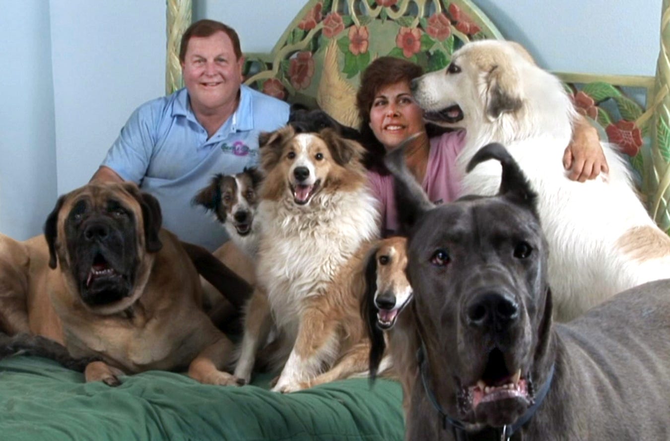 Burt Ward's life with dogs